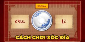Hướng Dẫn Cách Chơi Xóc Đĩa Cược Đâu Thắng Đó Cho Newbie
